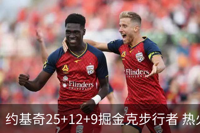 约基奇25+12+9掘金克步行者 热火送黄蜂5连败